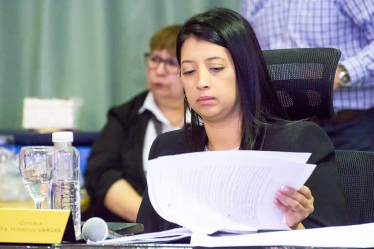 “Presentamos un proyecto para fortalecer a productores, emprendedores y comercios de barrio”