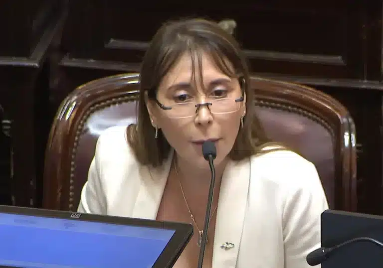 “Enfermo mental”: la polémica frase de una senadora de Tierra del Fuego contra Milei