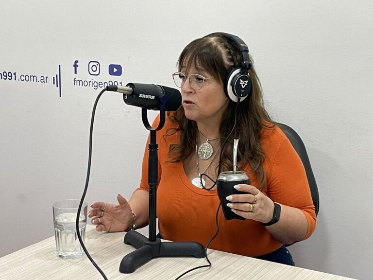 Cortes de energía en Ushuaia: “Con esta situación hay mucho oportunismo”, afirmó Castillo