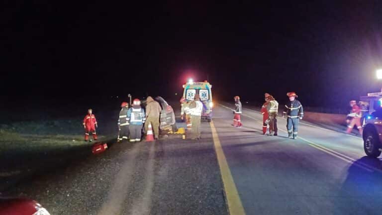 Guanaco ocasionó un grave accidente en ruta chilena