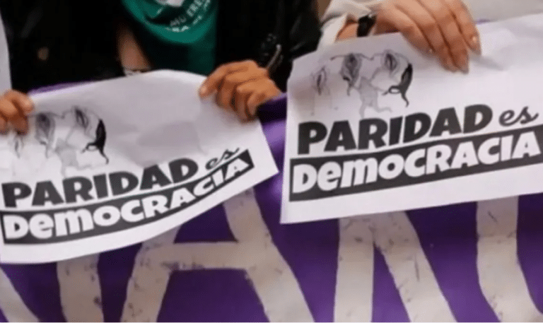 Reemplazo de Stefani: el Movimiento de Mujeres Paritaristas celebra la incorporación del amparo