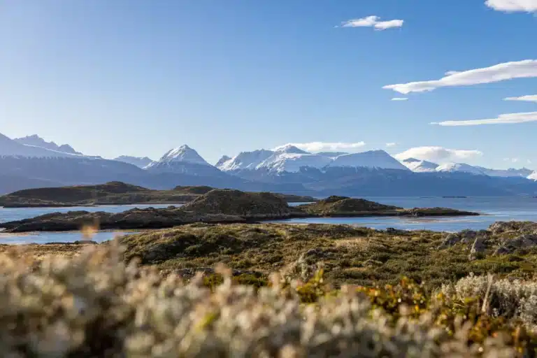 Tras el rechazo de Milei, Tierra del Fuego busca adherir al “Pacto para el Futuro” de la ONU