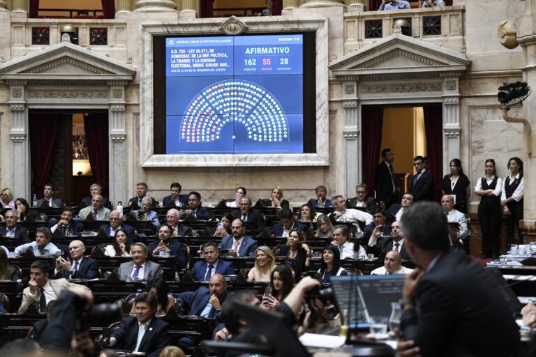 Aprobaron suspender las PASO: ¿Cómo votaron los diputados fueguinos?