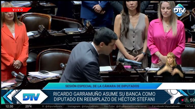 Fin de la novela: juró Ricardo Garramuño en reemplazo de Stefani