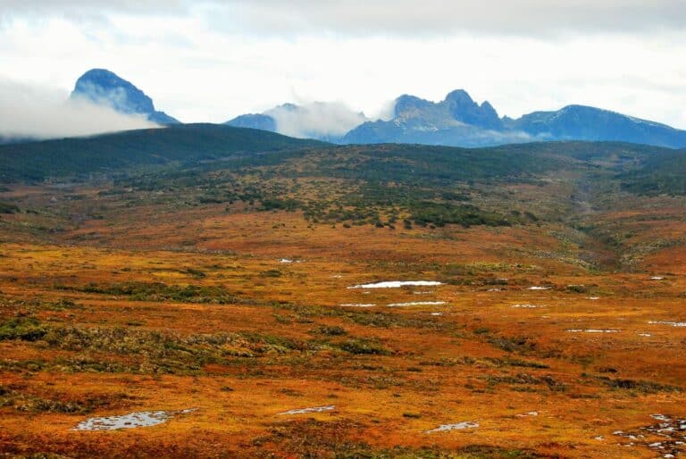 Península Mitre, nuevo Sitio Ramsar: ¿Qué significa y qué importancia tiene?