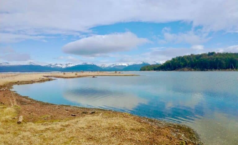 Tras el arrasador incendio, reabre parcialmente la Reserva Corazón de la Isla