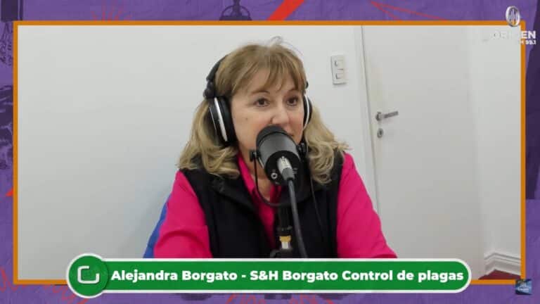 Roedores en nuestras casas: mitos y realidades