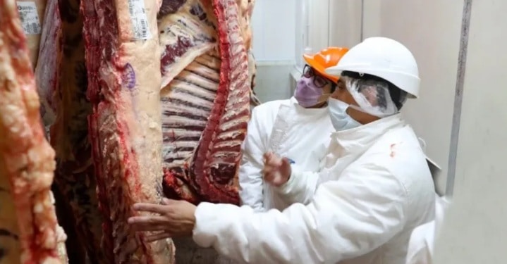 Tras 22 años, autorizaron el ingreso de carne con hueso a la Patagonia