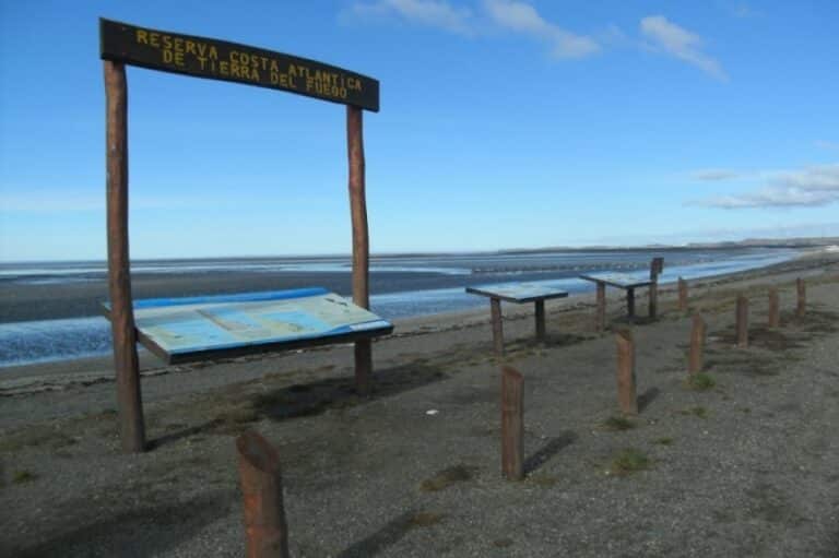 Activan protocolo preventivo ante la detección de aves muertas en la costa de Río Grande