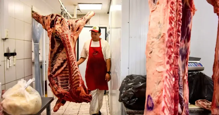 Las sociedades rurales de la Patagonia van a Nación por la barrera sanitaria