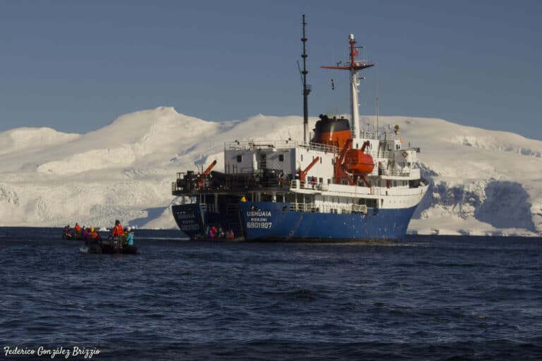 ¿Por qué Ushuaia no se consolida como una plataforma polar de referencia?
