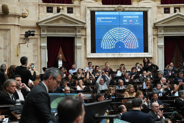 Diputados bajaron los vetos al Garrahan y universidades: ¿Cómo votaron los fueguinos?