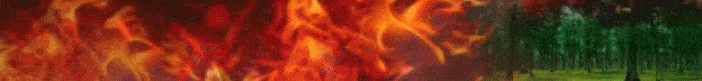 spot_img