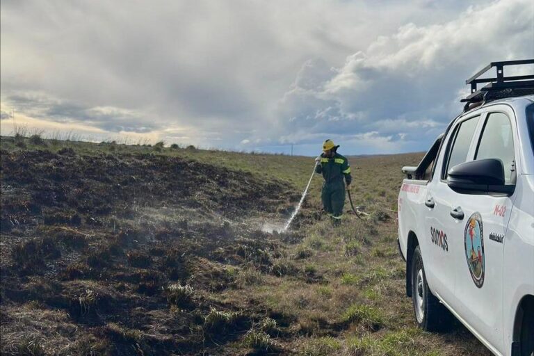 Controlan un incendio frente a Estancia Sara e investigan posible descuido humano