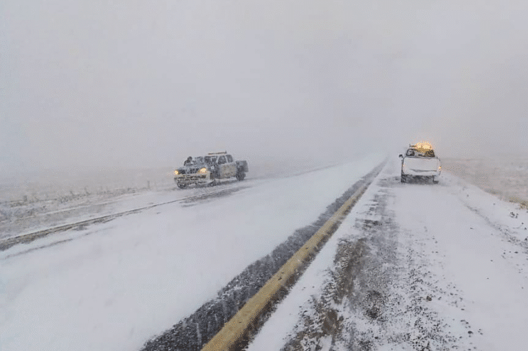 Nieve en la Ruta 3: “Va cambiando minuto a minuto y por eso se hizo una restricción vehicular”