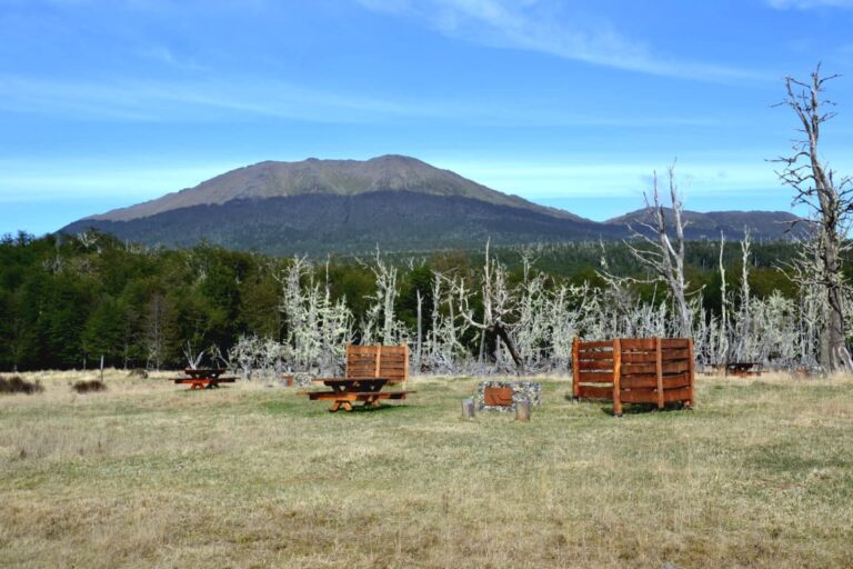 Tras el arrasador incendio, avanza la restauración de la Reserva Corazón de la Isla