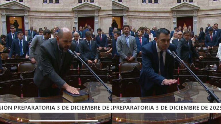 Juraron los diputados Tita y Rodríguez: Milei y Melella presentes