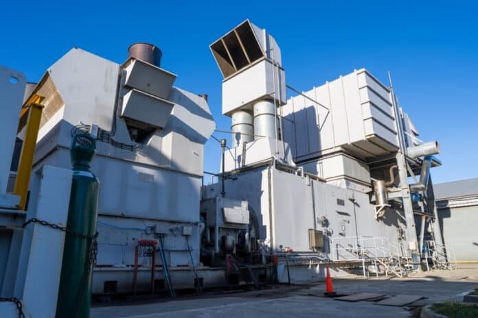 photo_5114135533968886803_y